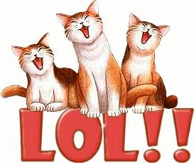 CHAT GIF