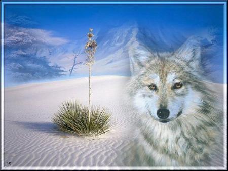 LOUP