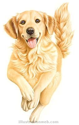 CHIEN