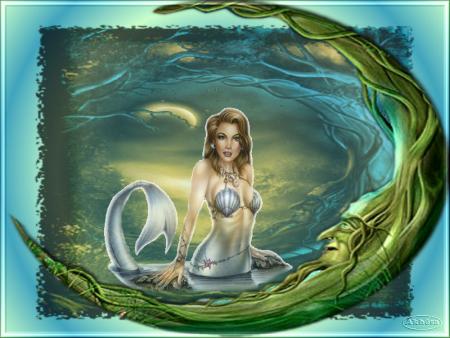 SIRENE
