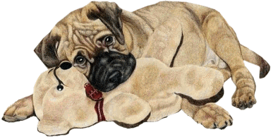 CHIEN