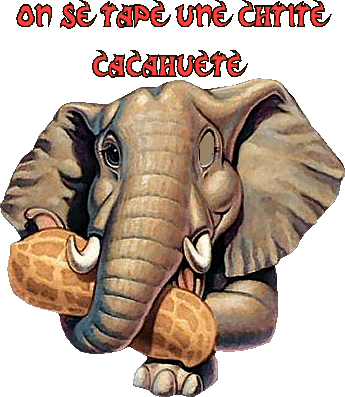 ELEPHANT