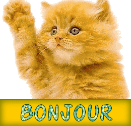 CHAT POLIE