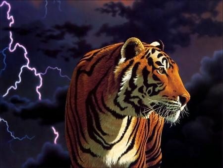 TIGRE