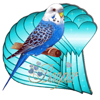 OISEAUX