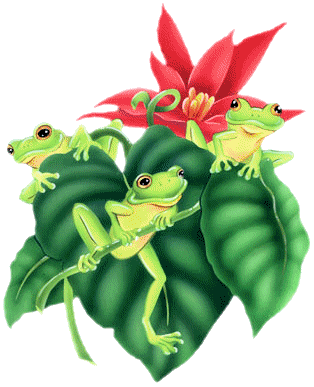 GRENOUILLES