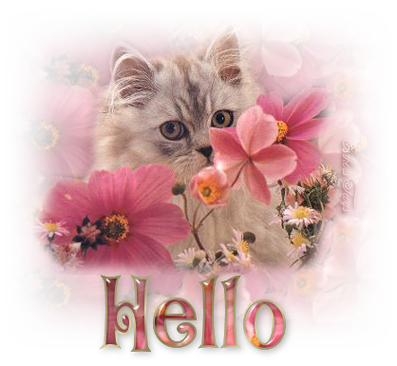 CHAT