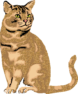 CHAT