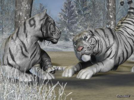 TIGRE