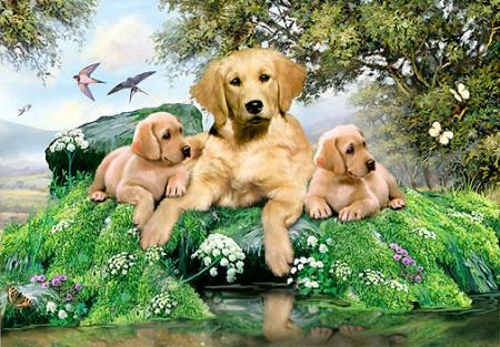 CHIENS