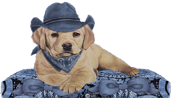 CHIEN COW BOY
