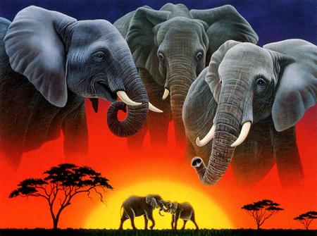 ELEPHAN AFRIQUE